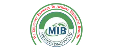 MIB Impex (SMC) Pvt. Ltd.