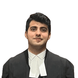 Portrait of Barrister Talha Ali Khawaja